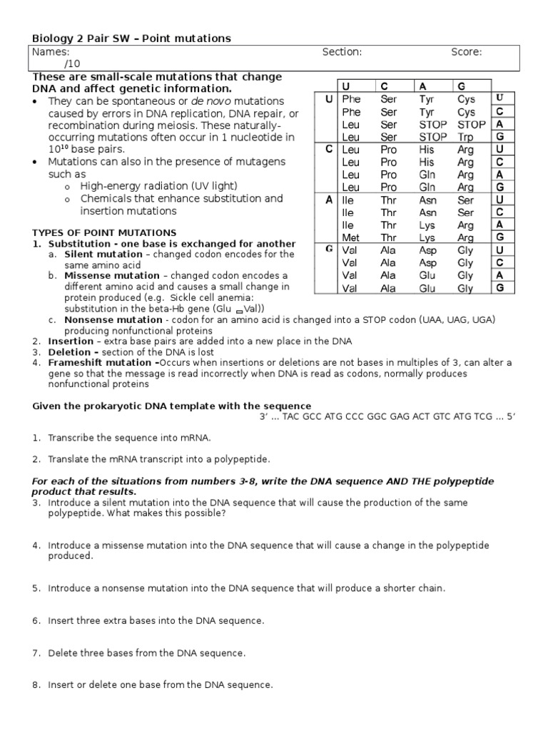 Understanding Point Mutations in DNA | PDF