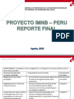 Final Report Imnb