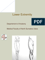 DMS2 - K1 - Lower Extremity