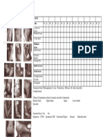 Pirani Score Form PDF
