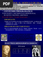 Ekg Básico 