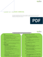 Esquema-1-Auxilio-Judicial.pdf