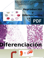 Biologia - Diferenciacion, Reproduccion