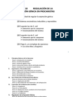 TEMA 18 REGULACIÓN DE LA EXPRESIÓN GÉNICA EN PROCARIOTAS(4).pdf