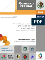 ISSSTE-306-10-GRR-SANGRADO DE TUBO DIGESTIVO BAJO.pdf