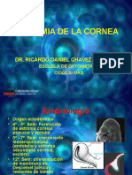 Opto Morfo Anatomia y Fisiologia de La Cornea Yo