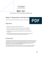 BIO 161 Lab Explores Respiration and Fermentation