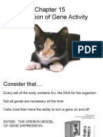 Ch 15 Regulation of Gene Activity