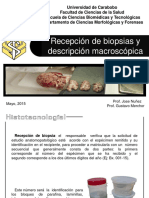 Recepción de Biopsias y Descricpción Macroscópica