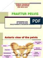 Fraktur Pelvis