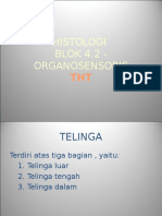 Telinga