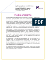 medio ambiente.docx