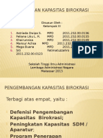 Pengembangan Kapasitas Birokrasi