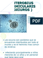 Enterobius Vermicularis (Oxiuros)