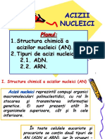 5 Acizii Nucleici