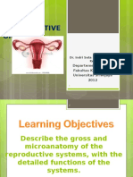 Female Reproductive Anatomy Translete
