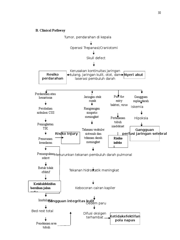 Pathway Defek Kranium dan Risiko Perdarahan | PDF