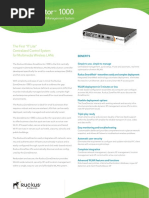 Ruckus Wireless ZoneDirector 1000