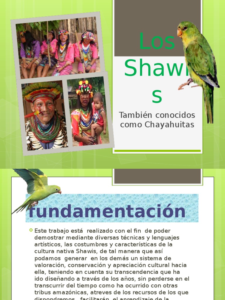 Cultura y Tradiciones de los Shawis | PDF | Ritmo | Teatro