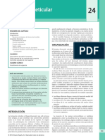 2 - Formación Reticular - Fitzgerald PDF