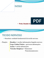 Aula 1 Tecido Nervoso PDF