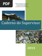guia supervisor.pdf
