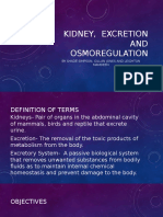 Kidney Excretion