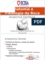 Anatomia e Fisiologia da Boca em