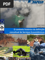 Contexto Histórico Dos Serviços Ecossistêmicos - Rozely Ferreira