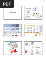 Lecture 6_Stem Cells