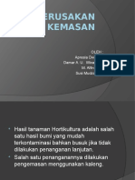 Kerusakan Kemasan