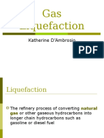 Gas Liquefaction: Katherine D'Ambrosio