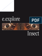 E.Explore - Insect.pdf