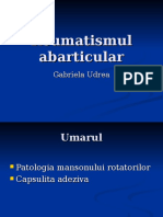 121940590 Reumatism Abarticular