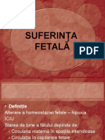 20.suferinta fetala