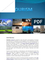 131jk552683 Tourism - Docx New