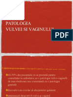 Patologia Vulvei Si Vaginului Prolaps Romana