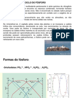 Parte 6-Compostos Fosforados