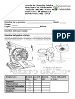 Examen Sexto Grado Tercer Bimestre