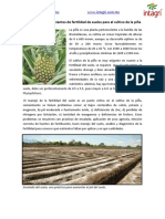 Fertilidad de Suelos para Pina PDF