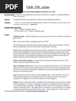 Download Faith FHE Lesson  by Lara Goold SN33923649 doc pdf