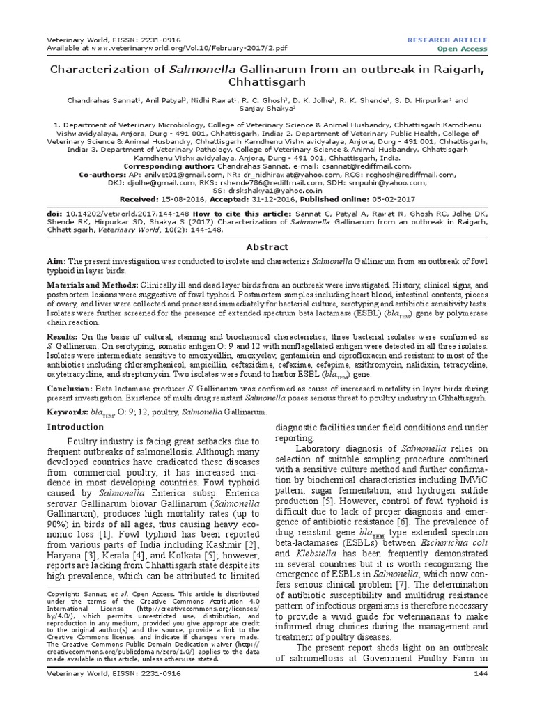 Salmonella essay titles 04 image