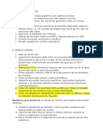 Repaso Neuroanatomia