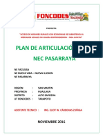 PLAN ARTICULACION NEC PASARRAYA.pdf