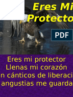 C-035 - Eres Mi Protector