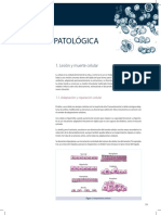 Manual CTO - Anatomia Patológica