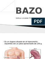 BAZO