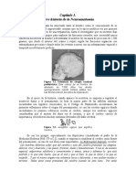 Breve Historia de La Neuroanatomía