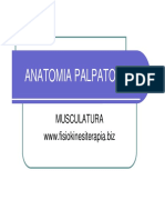 Anatomiapalpatoria
