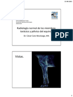 003 Radiologia normal equino.(1).pdf